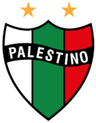 Palestino Women - Team Palestino W 301166 Results