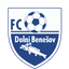 Dolni Benesov - Team Dolni Benesov 314777 Football Score