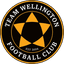 Team Wellington U20 - Team Team Wellington U 328593 Schedule