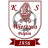 KS Wierzyca Pelplin - Gdansk VS Ks Wierzyca Pelplin Result Today