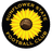 Sunflower State FC (W) - Oklahoma City W Live Scores