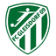 SC Gleisdorf - Team Sc Gleisdorf 302615 Football Result