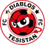 Diablos Tesistan FC - Team Diablos Tesistan Fc 356824 Live Score