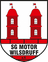 SG Motor Wilsdruff - Team Sg Motor Wilsdruff 366955 Live Score