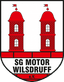 SG Motor Wilsdruff - Team Sg Motor Wilsdruff 366955 Live Score