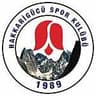 Hakkarigucu SK Women - Team Hakkarigucu Sk Women 338008 Football Live