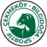 Cekmekoy BilgiDoga(W) - Team Cekmekoy Bilgidogaw 373579 Live Score Today