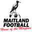 Maitland B (Women) - Team Maitland B Women 366171 Football Live