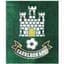 Caerleon FC - Team Caerleon Fc 310814 Live Score Today