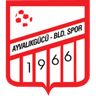 Ayvalikgucu Belediyespor - Team Ayvalikgucu Belediyespor 322337 Football Result