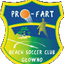BSC Pro-Fart Glowno Beach U21 - Team Bsc Profart Glowno Beach U 340808 Scores