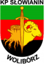 Slowianin Woliborz - Team Slowianin Woliborz 367214 Football Score