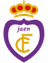 Real Jaen CF - Team La Union Cf 324212 Football Score