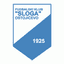 Sloga Radovici - Team Sloga Radovici 317496 Football Result