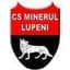 Minerul Lupeni - Team Minerul Lupeni 314101 Football