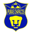 Pumas Chapacos - Team Pumas Chapacos 366982 Football Live