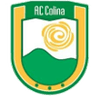 AC Colina - Team Cd Trasandino De Los Andes 300312 Football Score