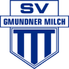 Gmunden - Gmunden Vs Otsu Hallein 345880 Football Live
