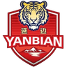 Yanbian Team - Team Yanbian Team 390338 Result