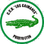 Los Caimanes - Team Los Caimanes 323723 Scores