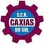 Caxias RS - Bra Campeonato Gaucho 32203 Football Live Score