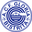 A.C.F. Gloria Bistrita - Rom Cup 32032 Sport