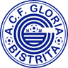 A.C.F. Gloria Bistrita - Team Acf Gloria Bistrita 303889 Sport