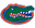 Florida Gators (w) - Player Deanne Rose 224119 312660 Live Football