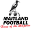 Maitland FC U20 - Team Maitland Fc U 329898 Football Live