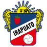 Irapuato - Team Irapuato 298268 Live Score