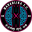 Maharlika Taguig FC - Team Maharlika 346815 Live Score