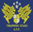 Treowen Stars - Wal Cymru Championship 33346 Football Live Score