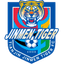 Tianjin Jinmen Tiger U15 - Team Tianjin Jinmen Tiger U 373998 Football Result