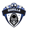 Gorilla FC - NBA Prediction