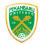 Pekanbaru FC - Team Pekanbaru Fc 386011 Football Live