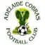 Adelaide Cobras FC - Team Adelaide Cobras Fc 299353 Live