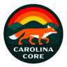 Carolina Core - Team Chicago Flame B 301374 Live Football