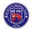 Hefei City Football Club - Team Hefei City Football Club 357786 Results
