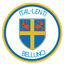 Belluno - Team Belluno 323648 Football Score