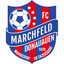 SC Mannsdorf - Team Sc Mannsdorf 298924 Live Score Today
