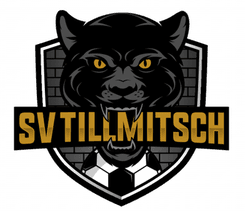 SV Tillmitsch - Player Thomas Zundel 156939 301845 Schedule