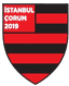 Istanbul Corum - Team Istanbul Corum 366900 Football Live Score