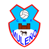 Muleno CF - Team Muleno Cf 322447 Live