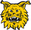 Ilves Tampere - Fin Veikkausliiga 31957 Live Result