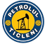 Petrolul Ticleni - Team Petrolul Ticleni 374499 Sport