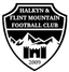 Flint Mountain - Team Flint Mountain 301596 Live Result