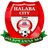 Halaba Ketema - Team Addis Ababa University 375599 Results