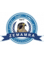 Renaissance Zmamra - Botola Pro 32473 Results