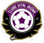 Vital Ibiuna SP Youth - Team Vital Ibiuna Sp Youth 366864 Live Football