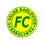 Velke Karlovice - Team Velke Karlovice 314409 Football